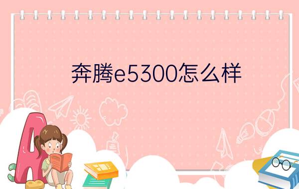 奔腾e5300怎么样   E5300 参数大全